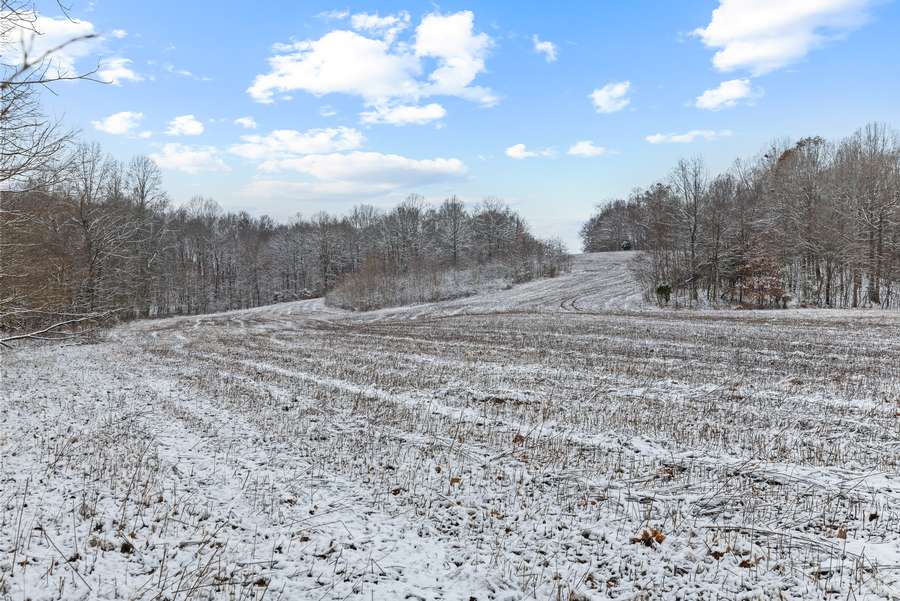 30-0 Waggener Ch-Chalbeate Rd Clay KY 42404_20251203_030.jpg